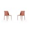 Manhattan Comfort Paris Dining Chair in Clay (Set of 2) DC032-CY - alternate 1